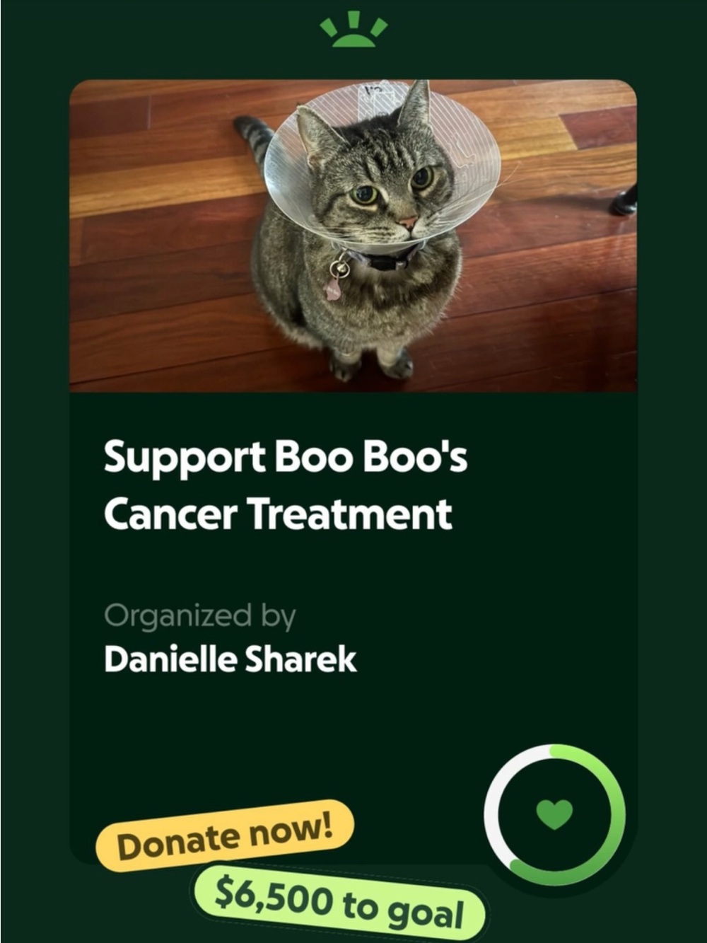 Support Boo Boo's Cancer Treatment
